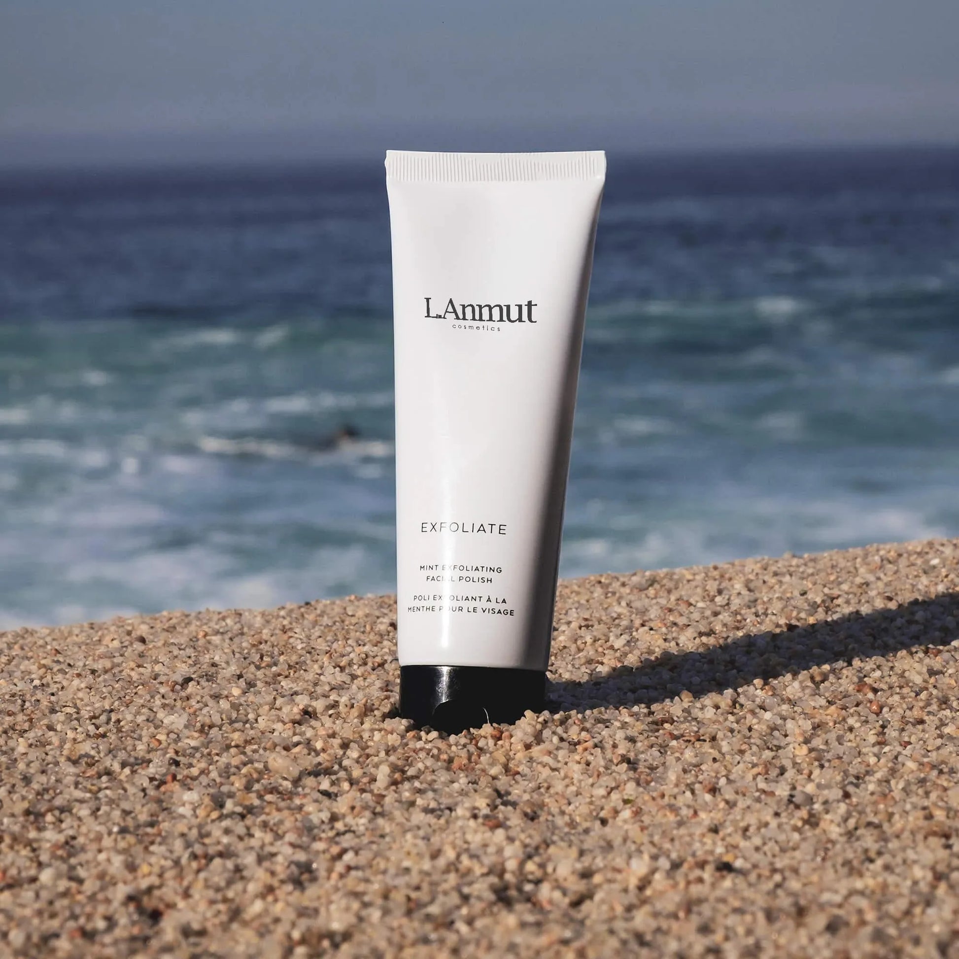 Mint Exfoliating Facial Polish - L.Anmut Cosmetics